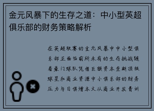 金元风暴下的生存之道：中小型英超俱乐部的财务策略解析
